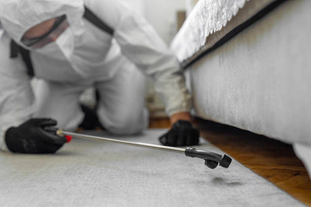 Professional Cockroach Control technician working in Calcium, NY